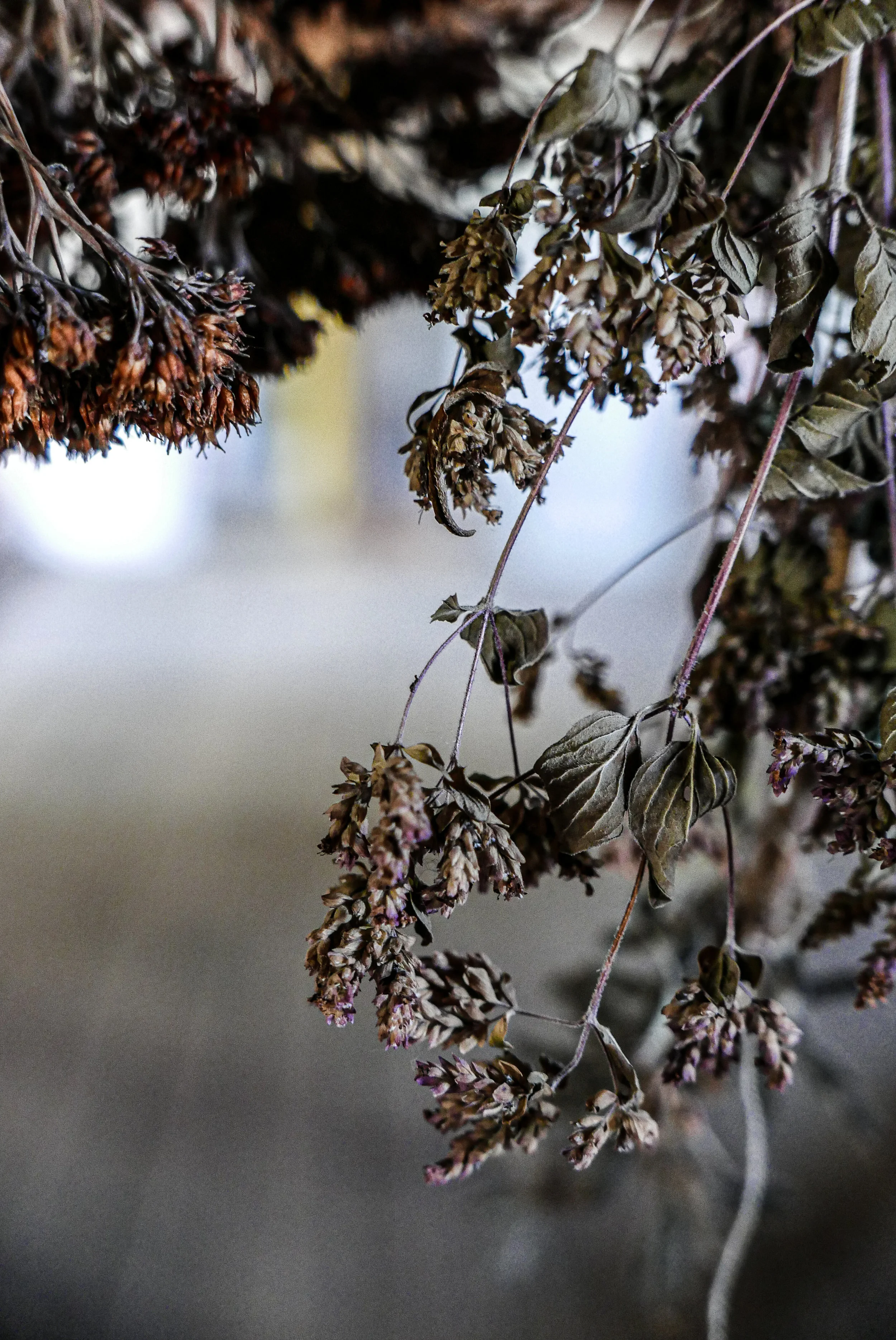 SlowDesignStudio_DTE_flowers.jpg