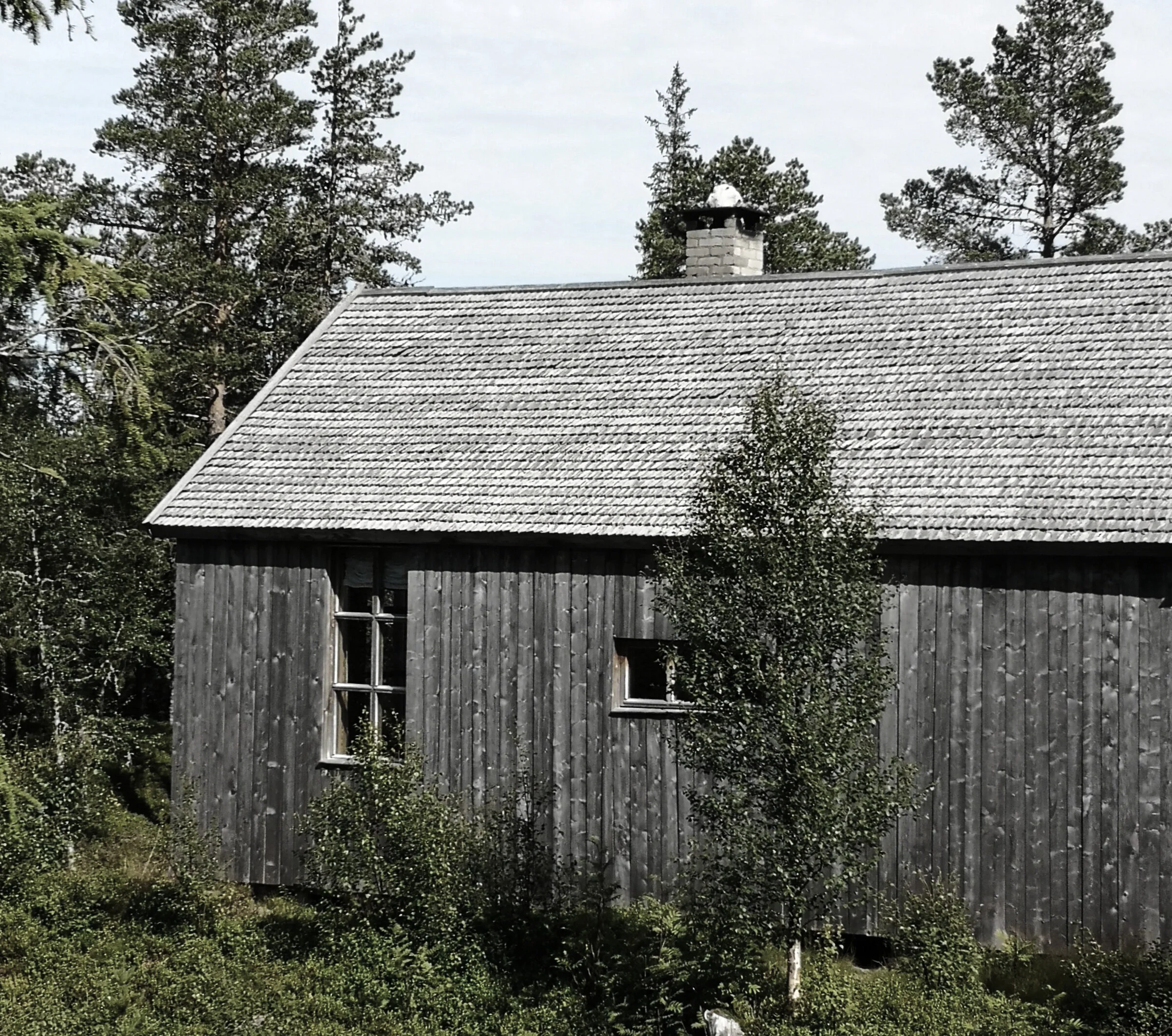 Ubehandlet vil utendør sponpanel gråne over tid, som på dette hyttetaket. Foto: Norsk Spon