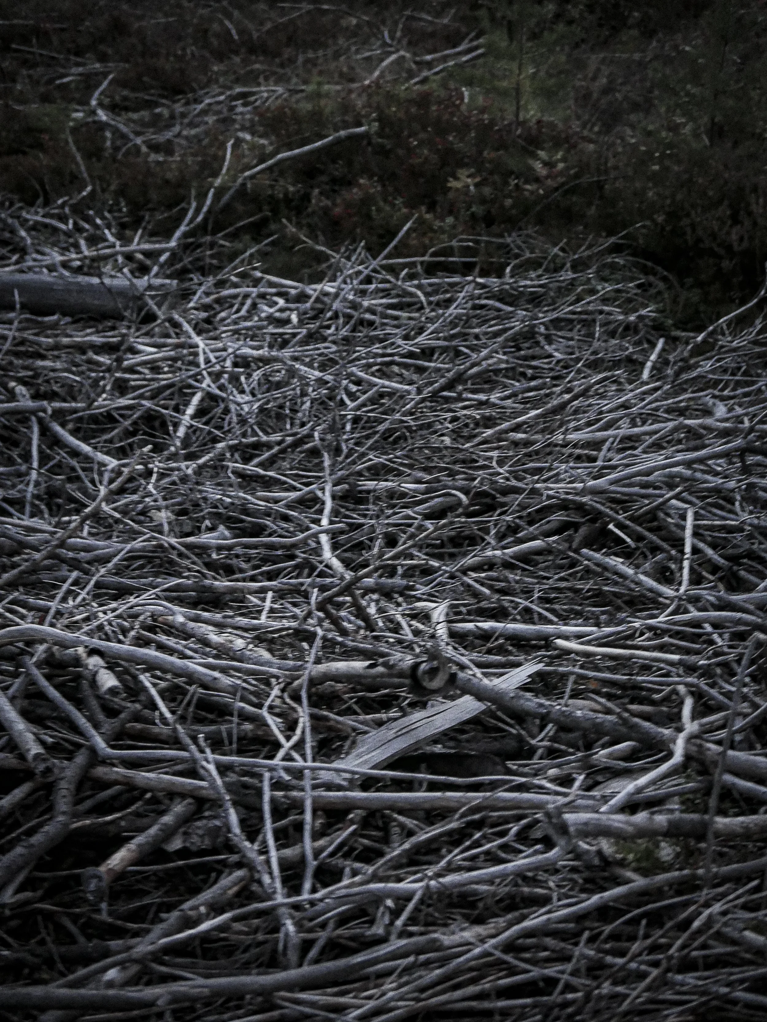 VISUELT VERKSTED - SPIKKING