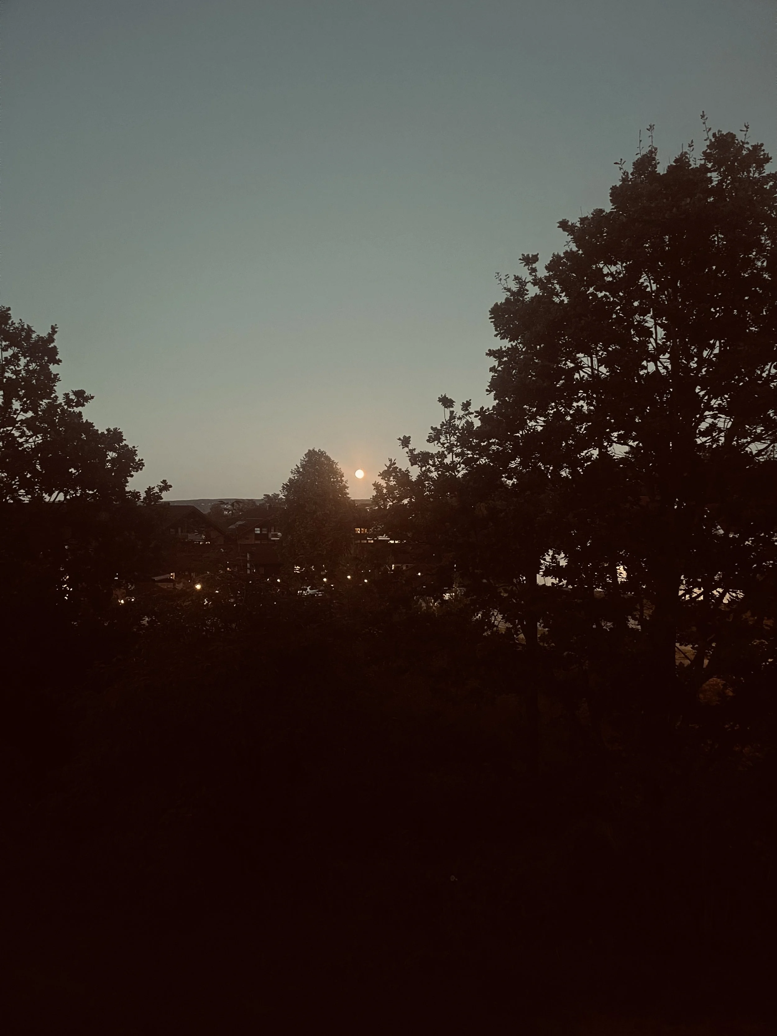 IMG_1101.jpeg