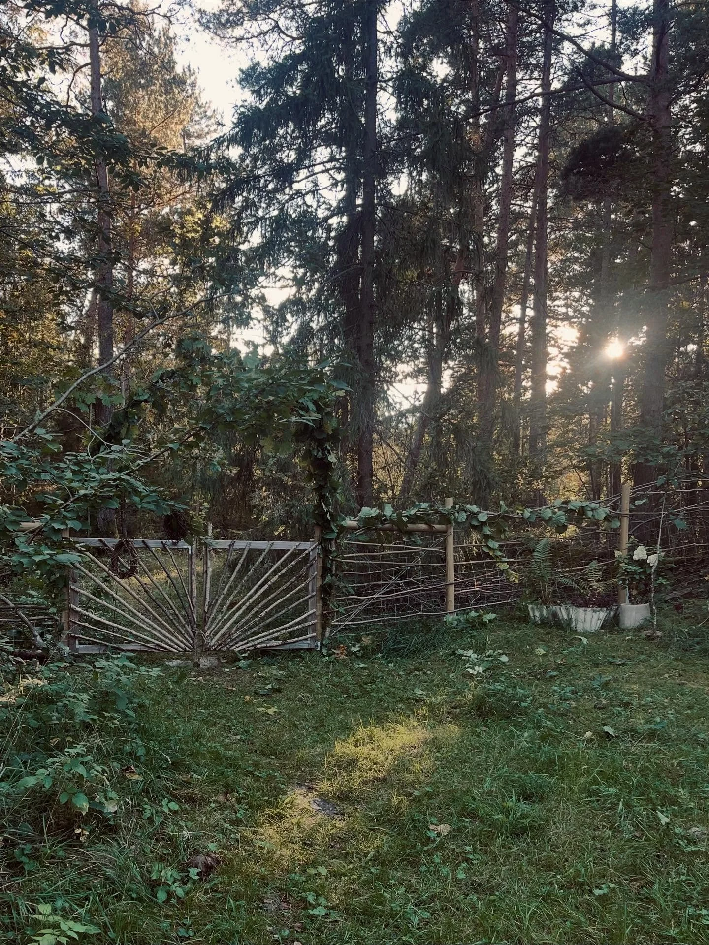 Autrumn equinox - when light and dark are in perfect balance and the veil between worlds are thinner, urging us to pause and listen to our soul&rsquo;s whispers. I honored the day by making a portal from our garden into the woods. The portal symboliz