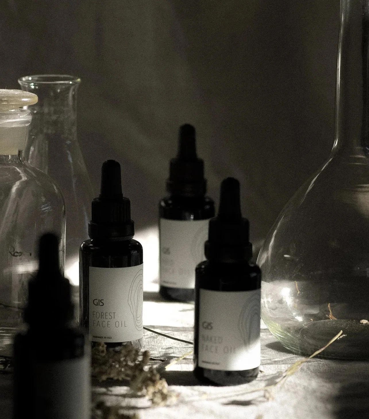 GIS_2024-236.jpg