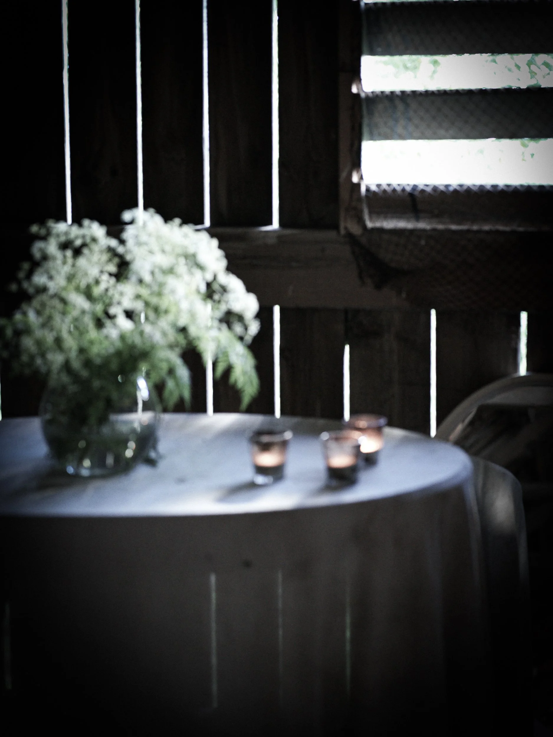 Slow_plants-2-3.jpg