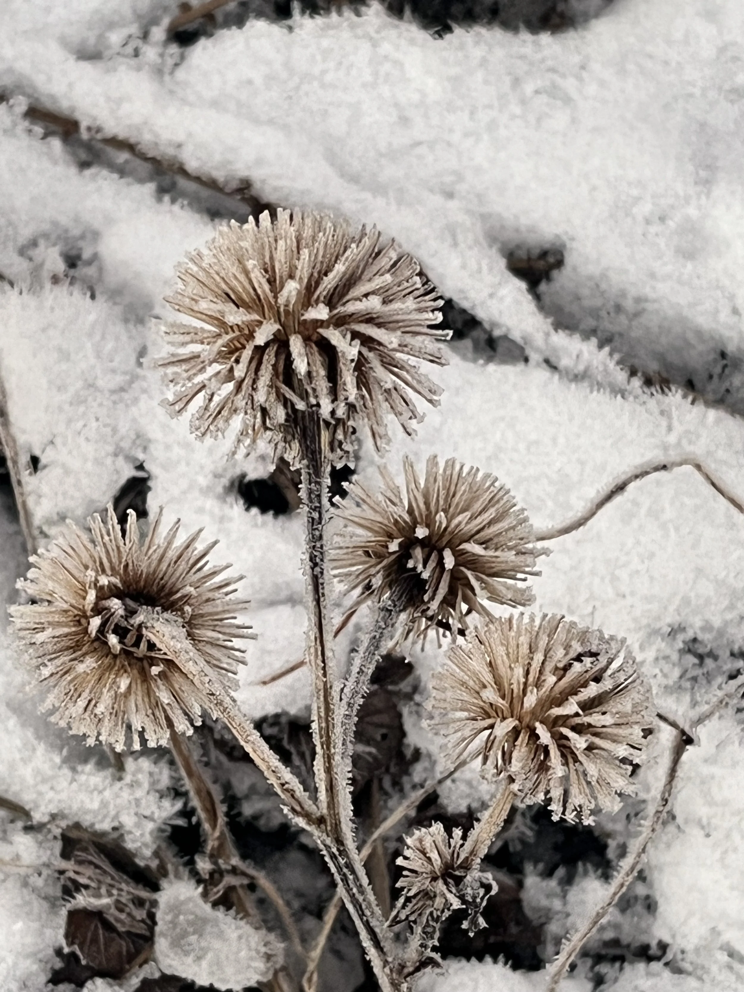   Kanskje merker du det: som et drag i lufta, som en myk tilbøyelighet til å trekke pusten dypere, en stille forventning, eller kanskje mer som en bønn fra kroppen om å ikke hele tiden jage, men stoppe opp og åpne deg for det som er åpenbart.  