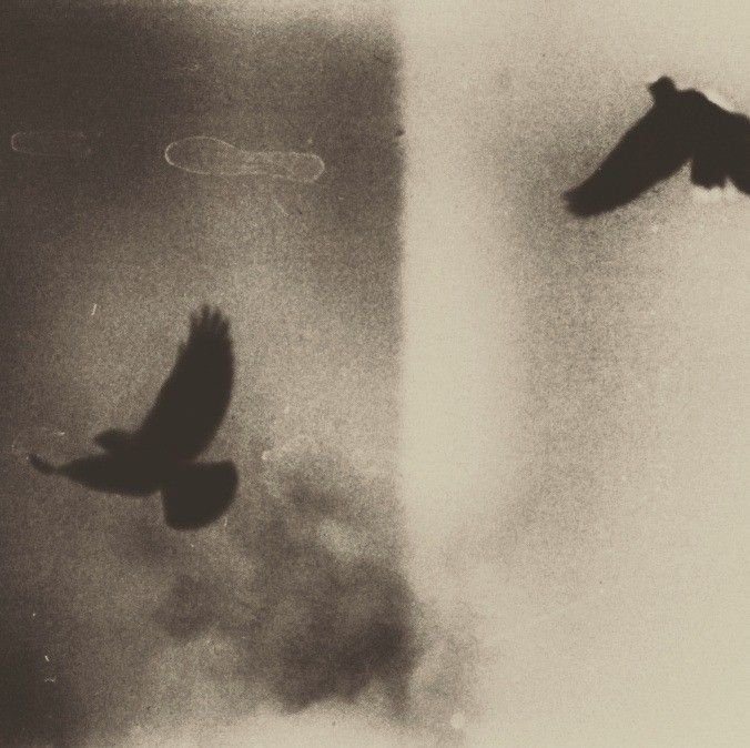 BEGREPER OM BEVISSTHET