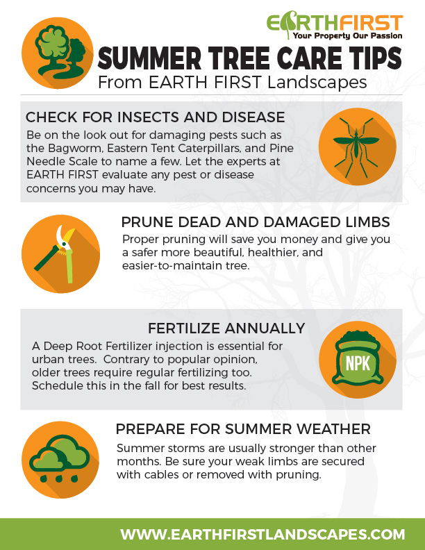Summer-tree-tips-web.jpg