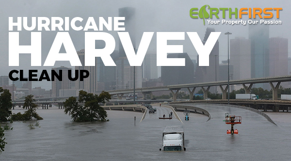 Pardot-1-column-HARVEY3.jpg