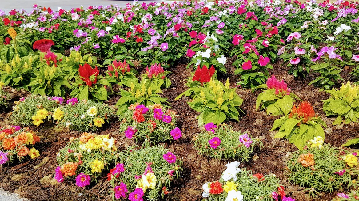 Community Spotlight of the Week Lakeview Retreat — EARTH FIRST Landscapes