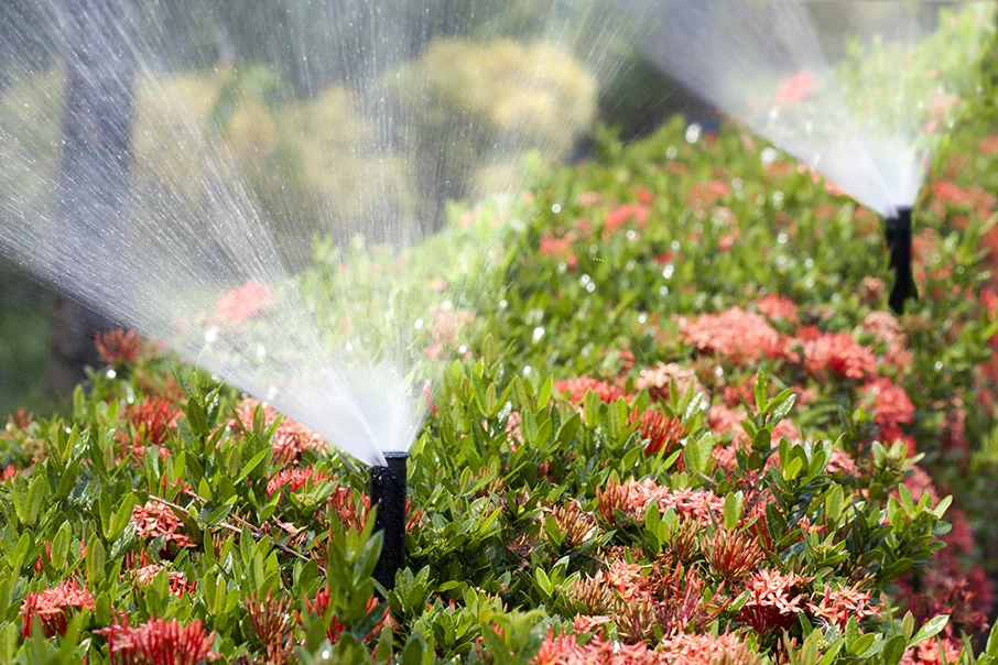 irrigation - web.jpg