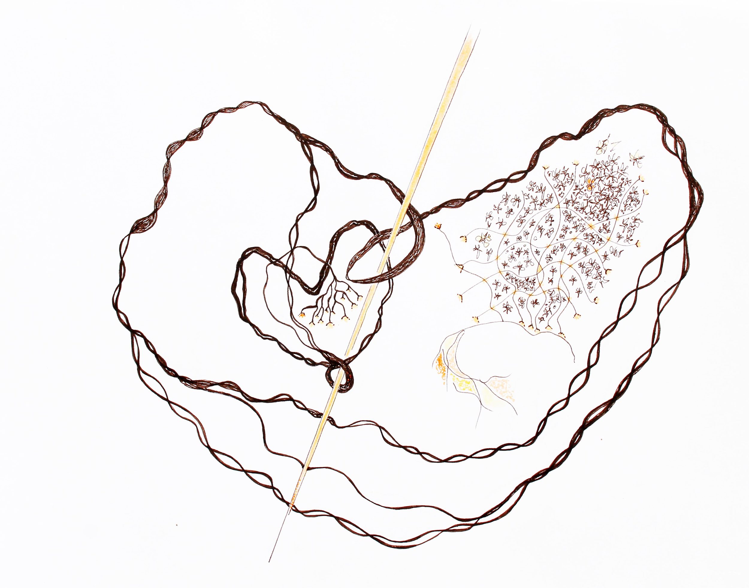 Umbilicus mundi