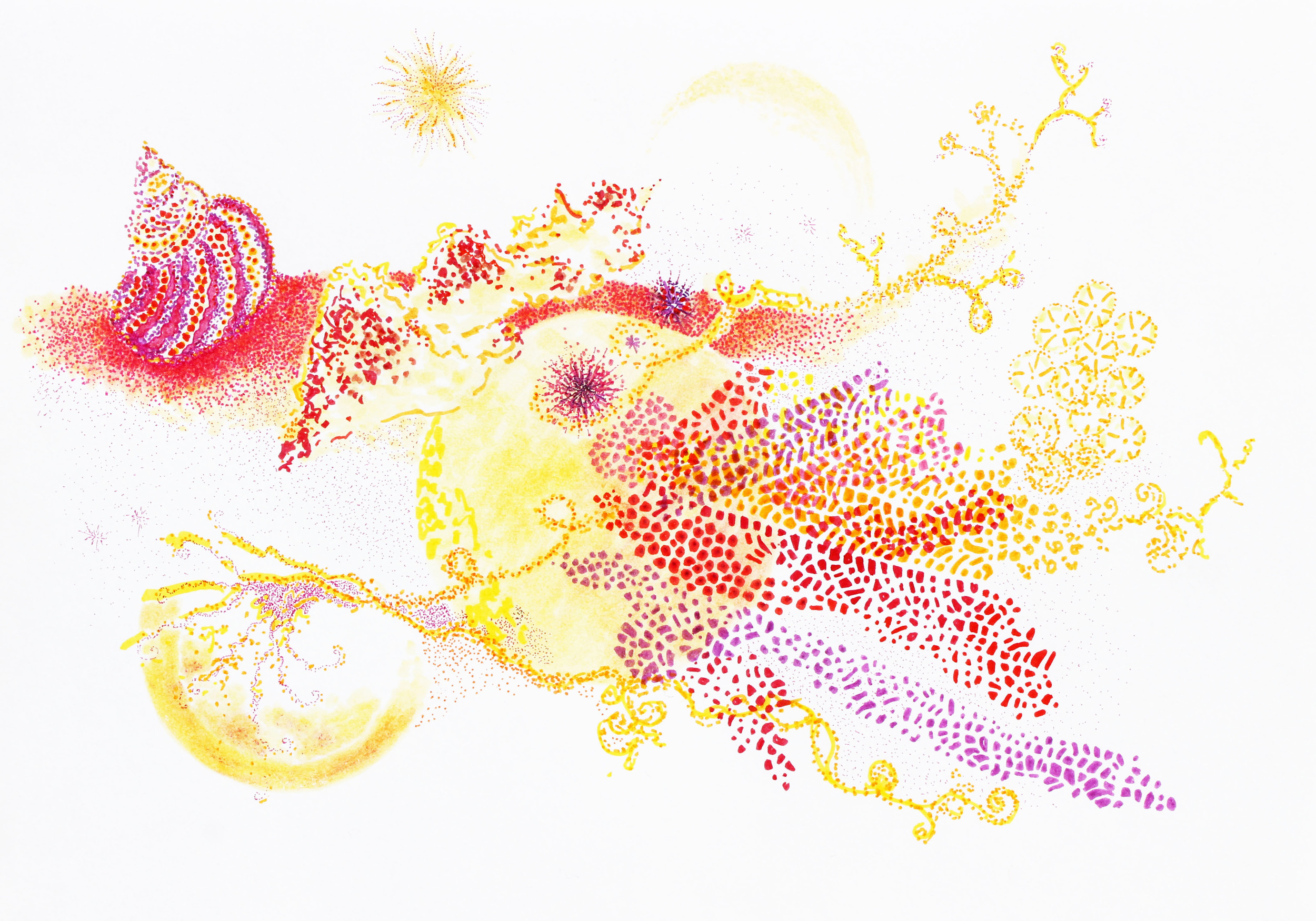 Coral Moon