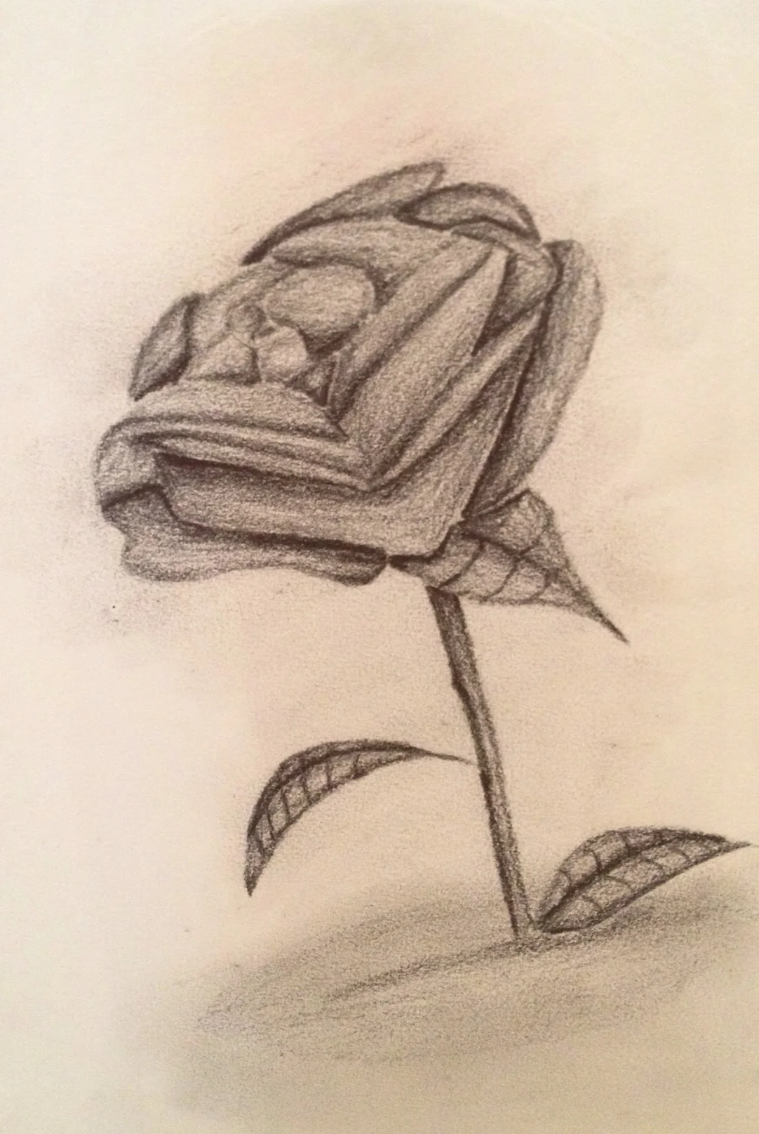 Lone Rose