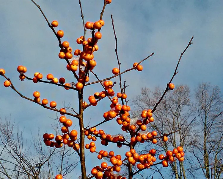 14 Engage+December+2012+422+5x4.jpg