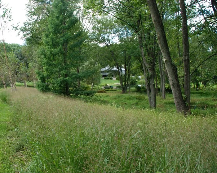 7 Balance Long View 5x4.jpg