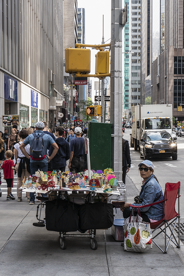 New York City - 6th Avenue Vendor