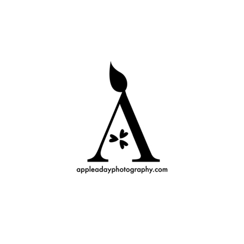 Web+logo-apple.png