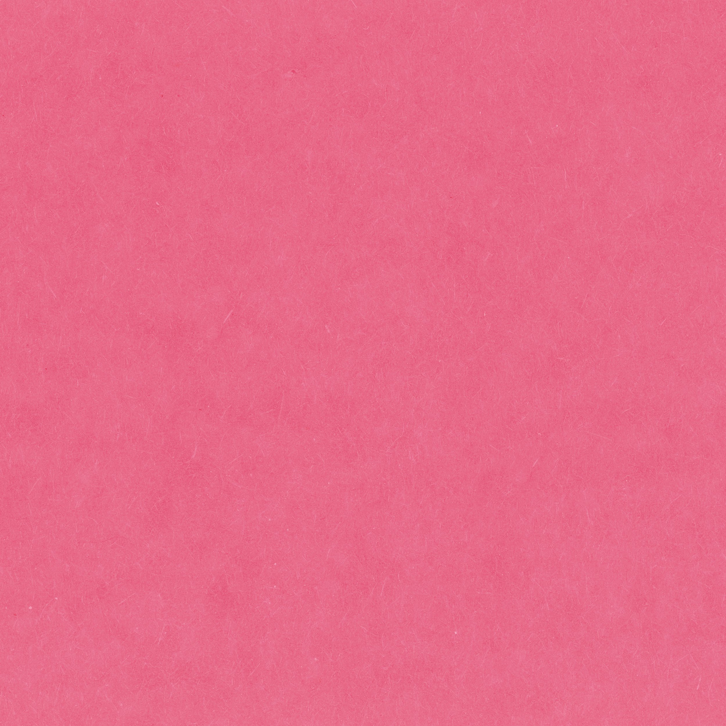 FBs_pinkbackground.jpg