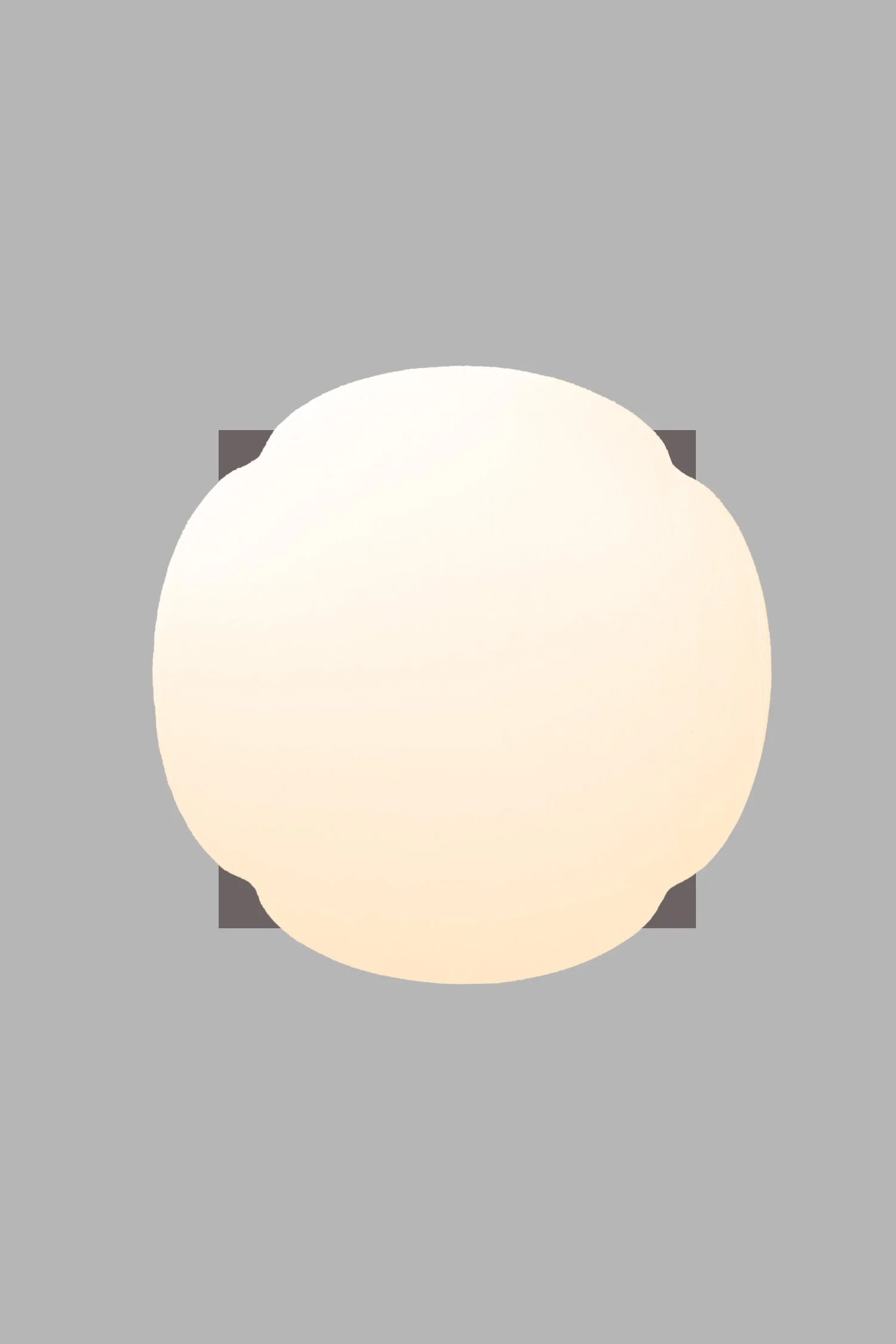 DAIKON STUDIO EN SCONCE PLATE.jpg