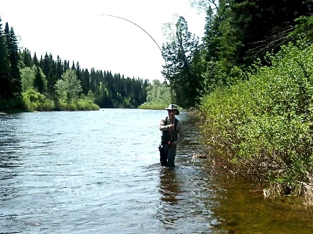 Paul Booth plays a BIG Salmon on the Grand. The salmon won this battle but there's always next time.