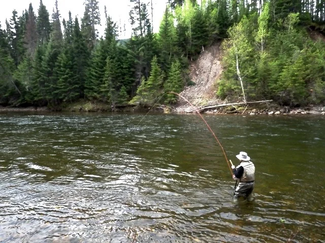 Charles Dewhurst plays a nice one on Montgomery Pool .