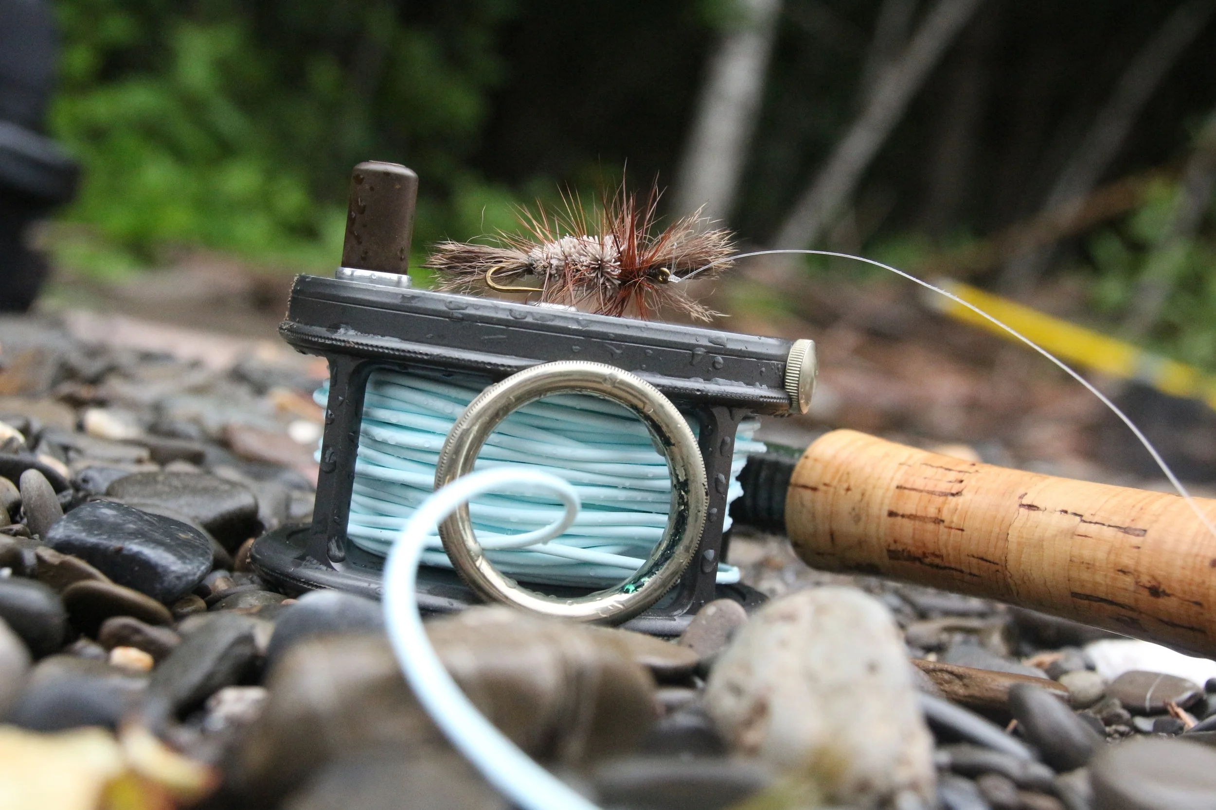 Dry Fly time!