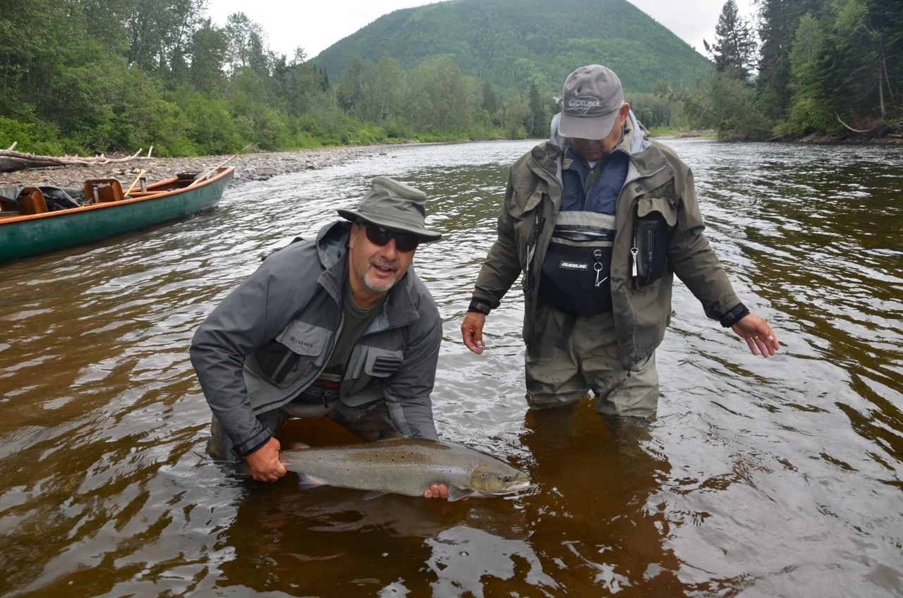 Salmon Lodge regular Gaetan Joly puts a nice one back on the Grand. Nice fish Gaetan!