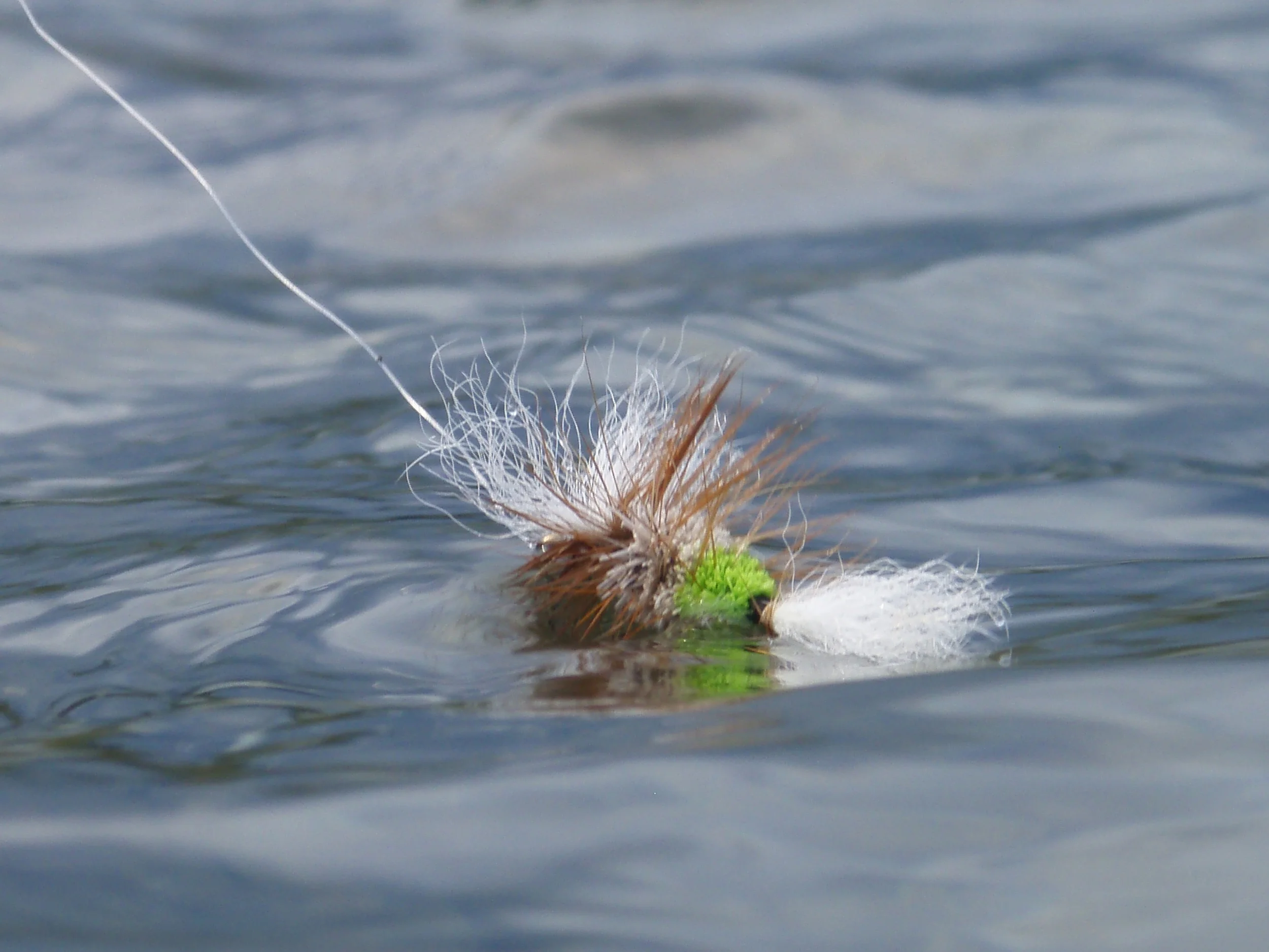 Just about to float over a 40 pounder!