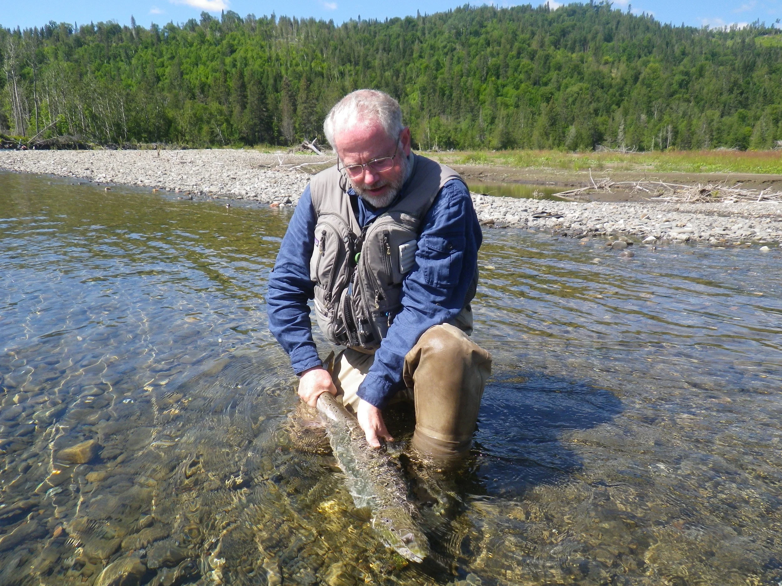 Nick Edwards with his first one of 2015, nice salmon Nick!