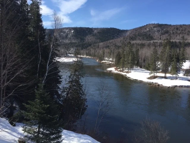 From the Deck at Salmon Lodge looking down river.