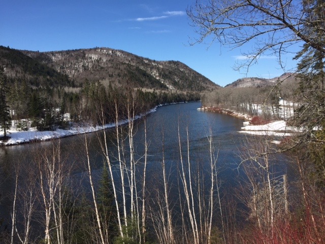 An up river view from the lodge.