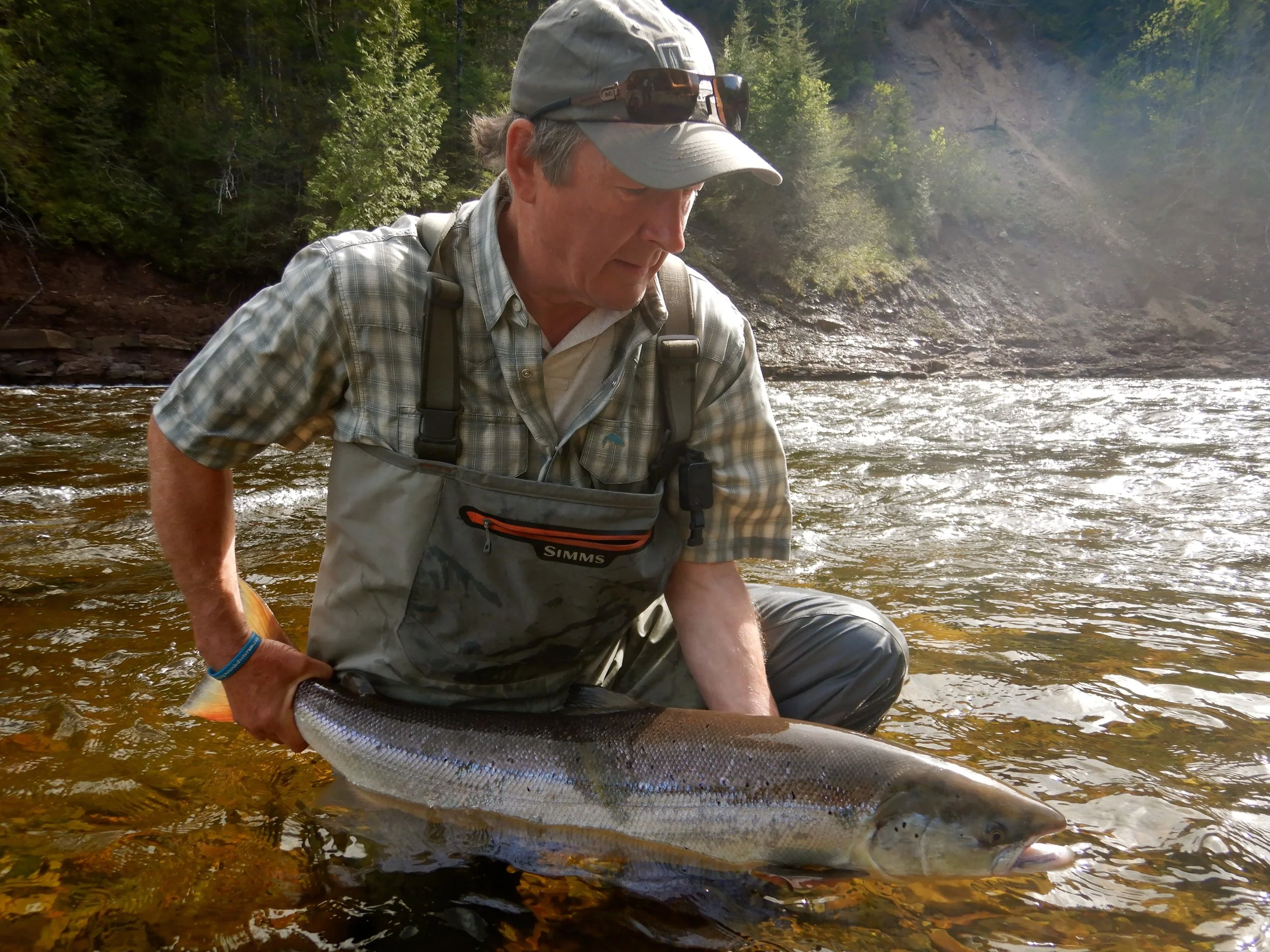 Michael Fitzroy from the UK releases his first Grand Cascapedia salmon, congratulations Michael.