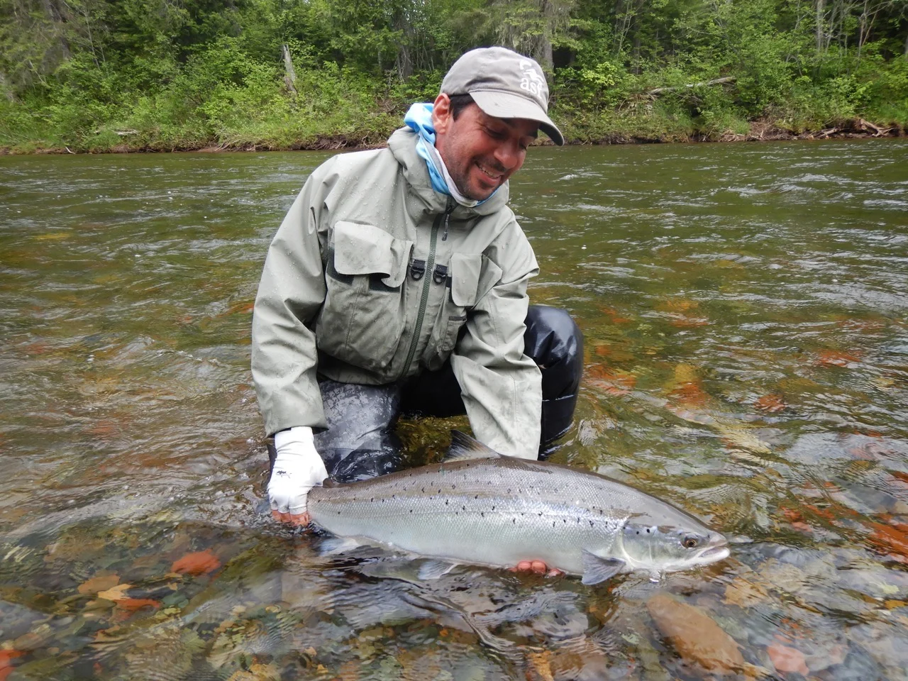 Our long time friend and salmon Lodge guest Anthony Mellano with his first one of the new season, Congratulations Anthony!