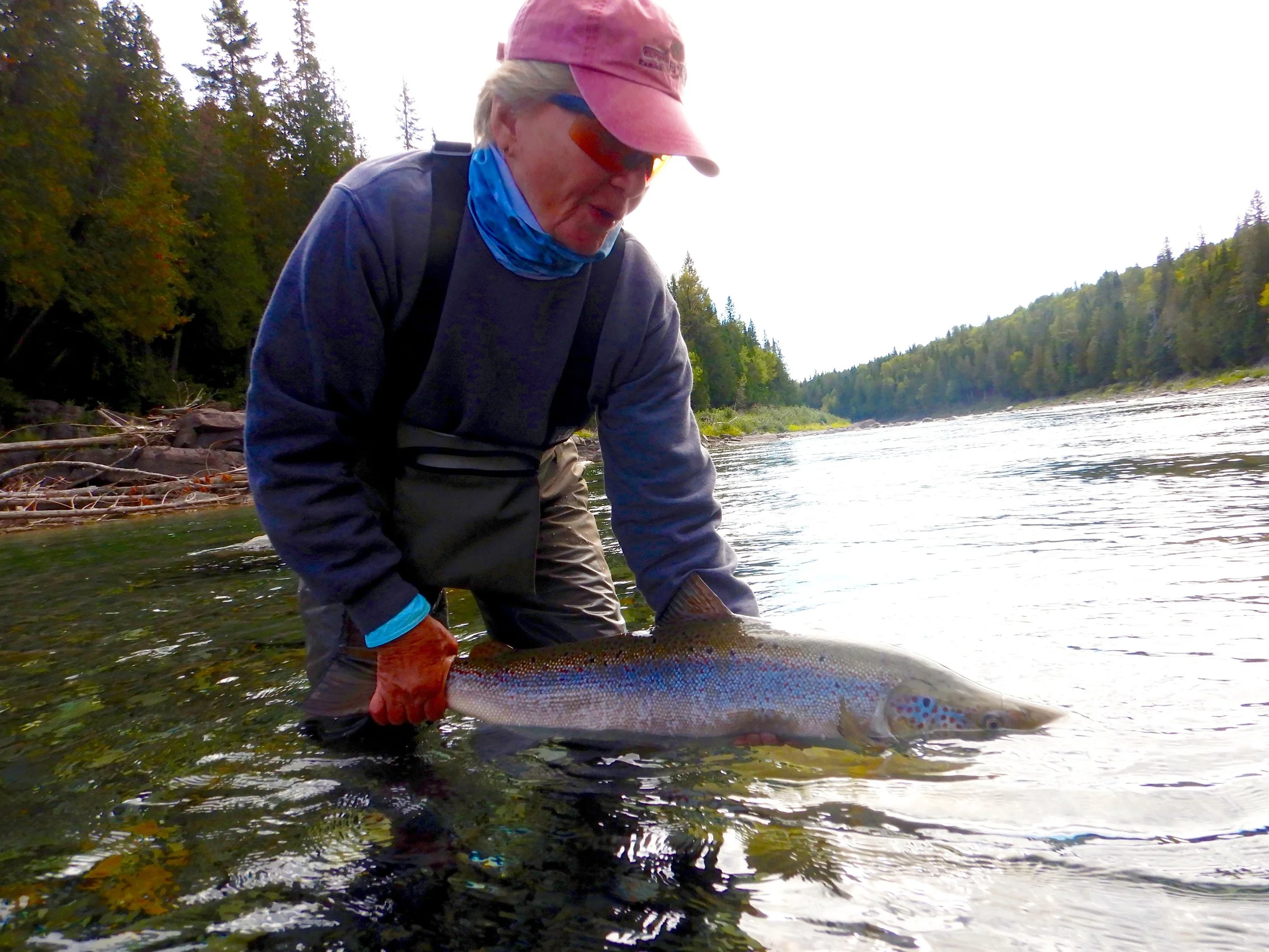 This was Carole McAlpin’s first Atlantic salmon, congratulation Carole, see you in next year.