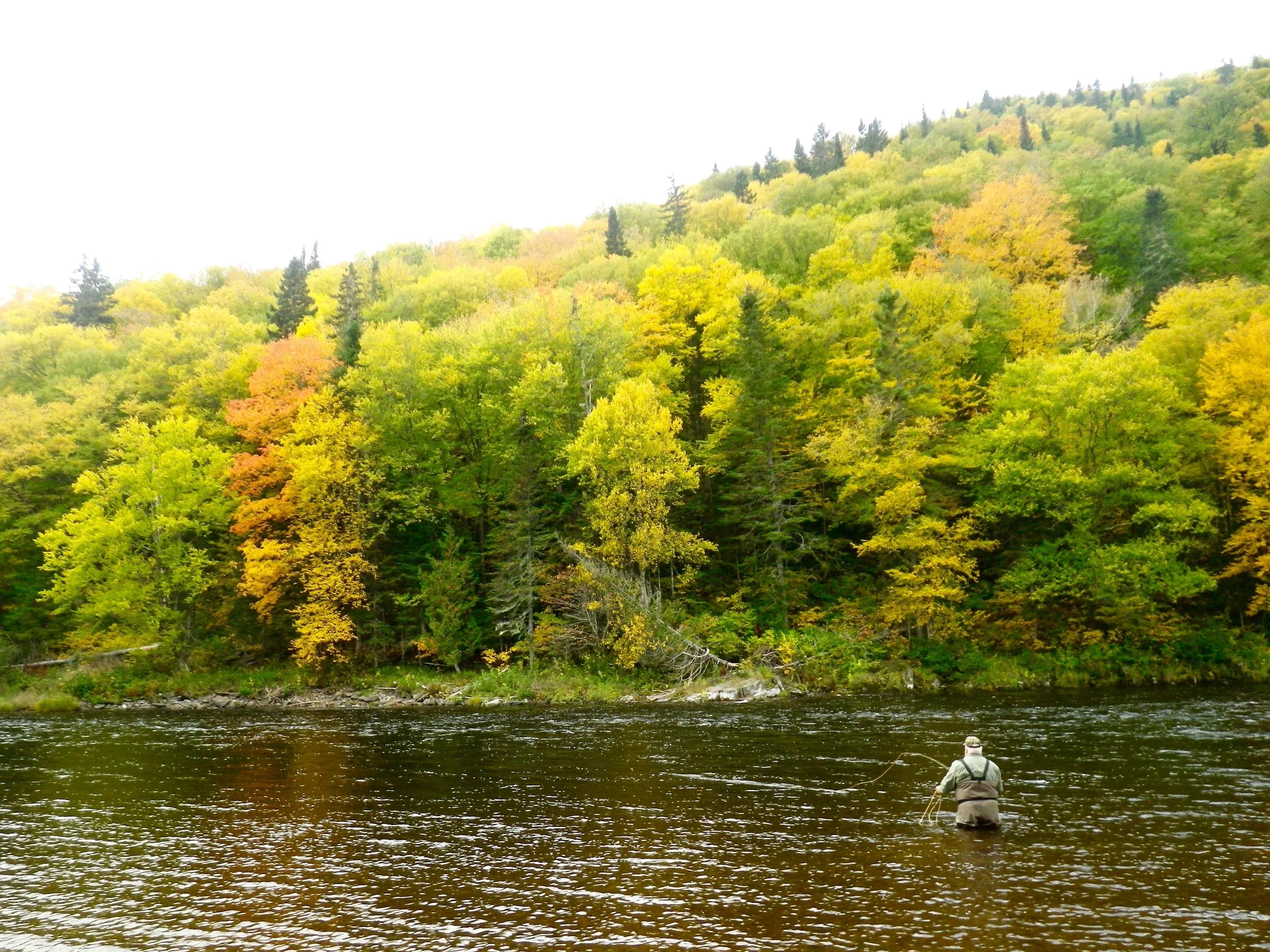 The fall colours of the Grand Cascapedia .