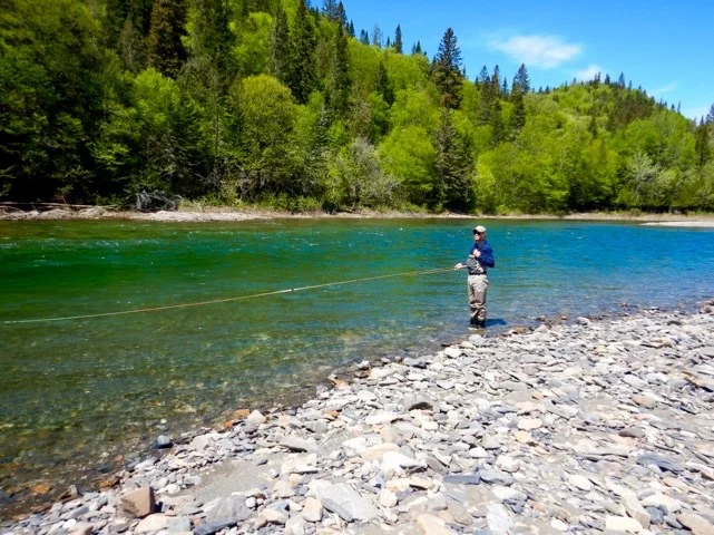Thankfully we can fall back on the Bonaventure when the Grand Cascapedia is not fishing well. The bony is high but getting clear.
