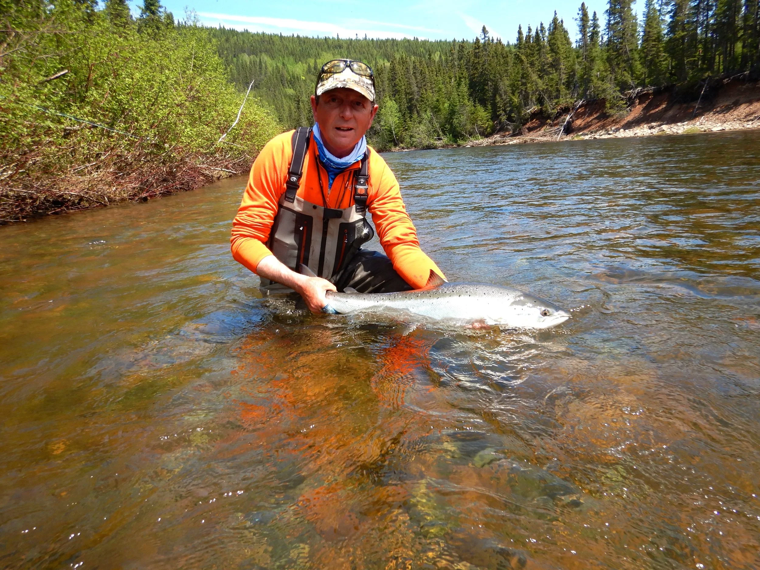 Orazio Gatti does it again, this time on the Grand Cascapedia, Nice fish Orazio, see you next year my good friend.