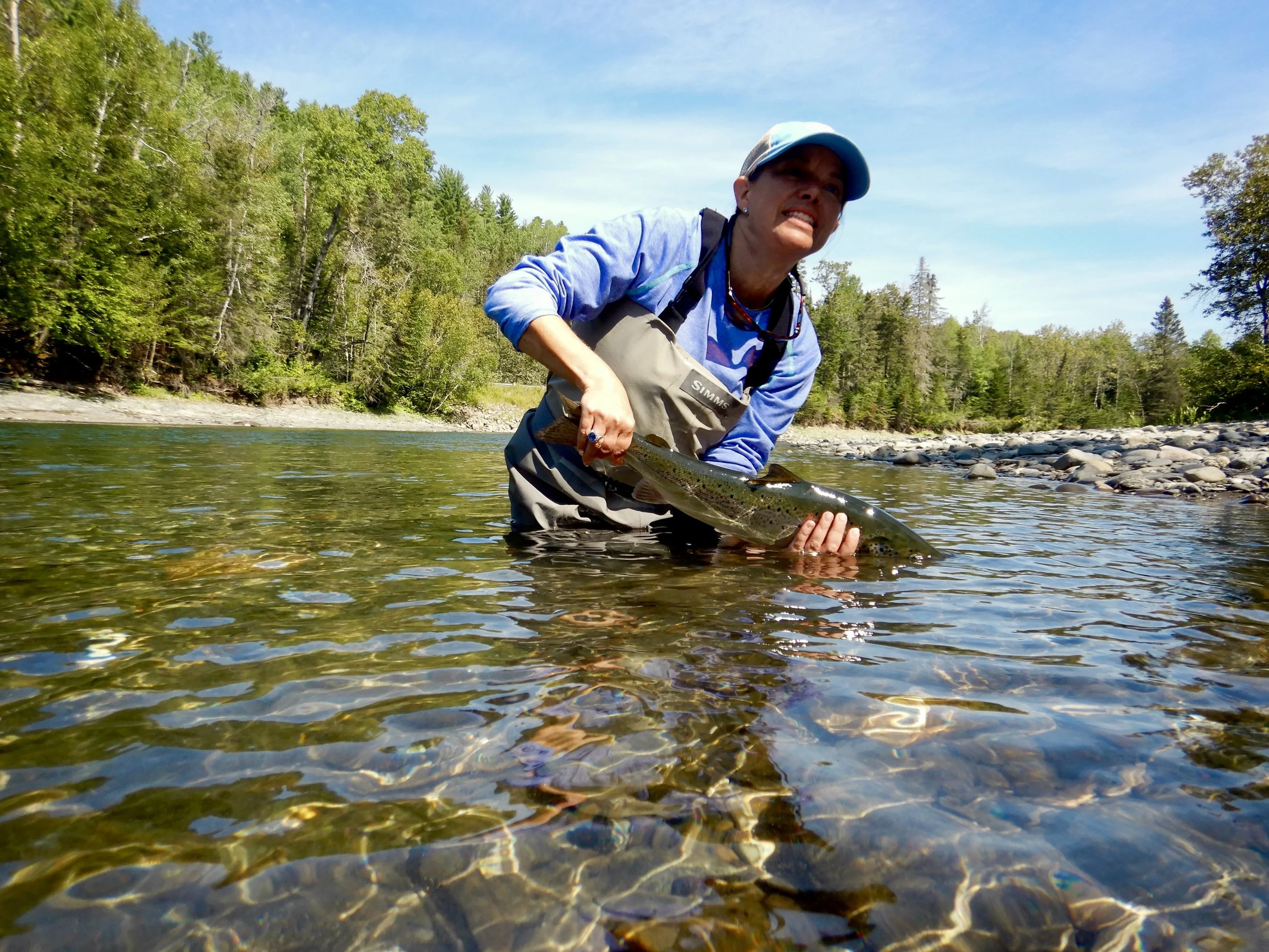 We had the pleasure of welcoming Jacqueline Bowles for the first time at Salmon Lodge this week! Here she is releasing a wonderful grilse back into the Petite Cascapedia!