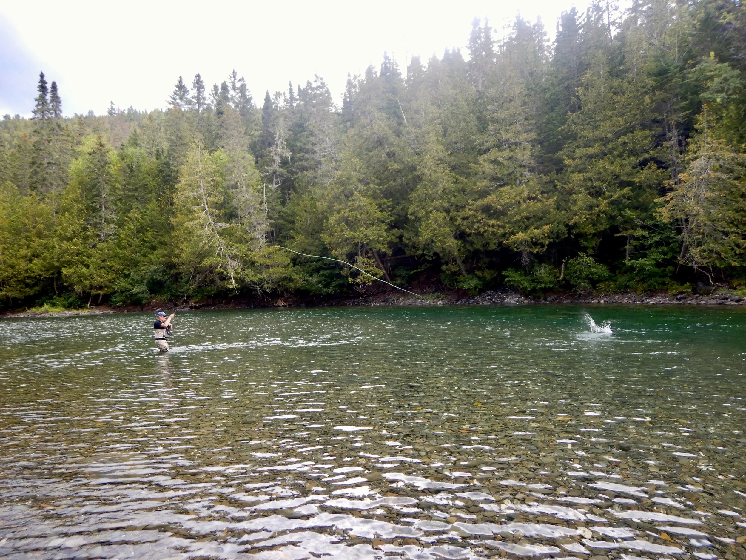 Claus Hansen had a wonderful week at Salmon Lodge and also landed his personal best during his stay which you can see in the Photo Gallery for this week. I just had to post this action shot! It is truly wonderful! Nicely done Claus!