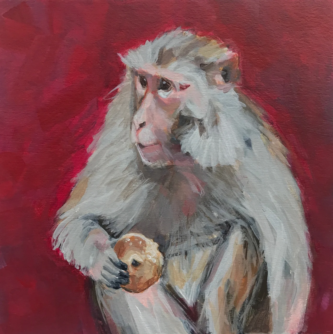 Carb Monkey