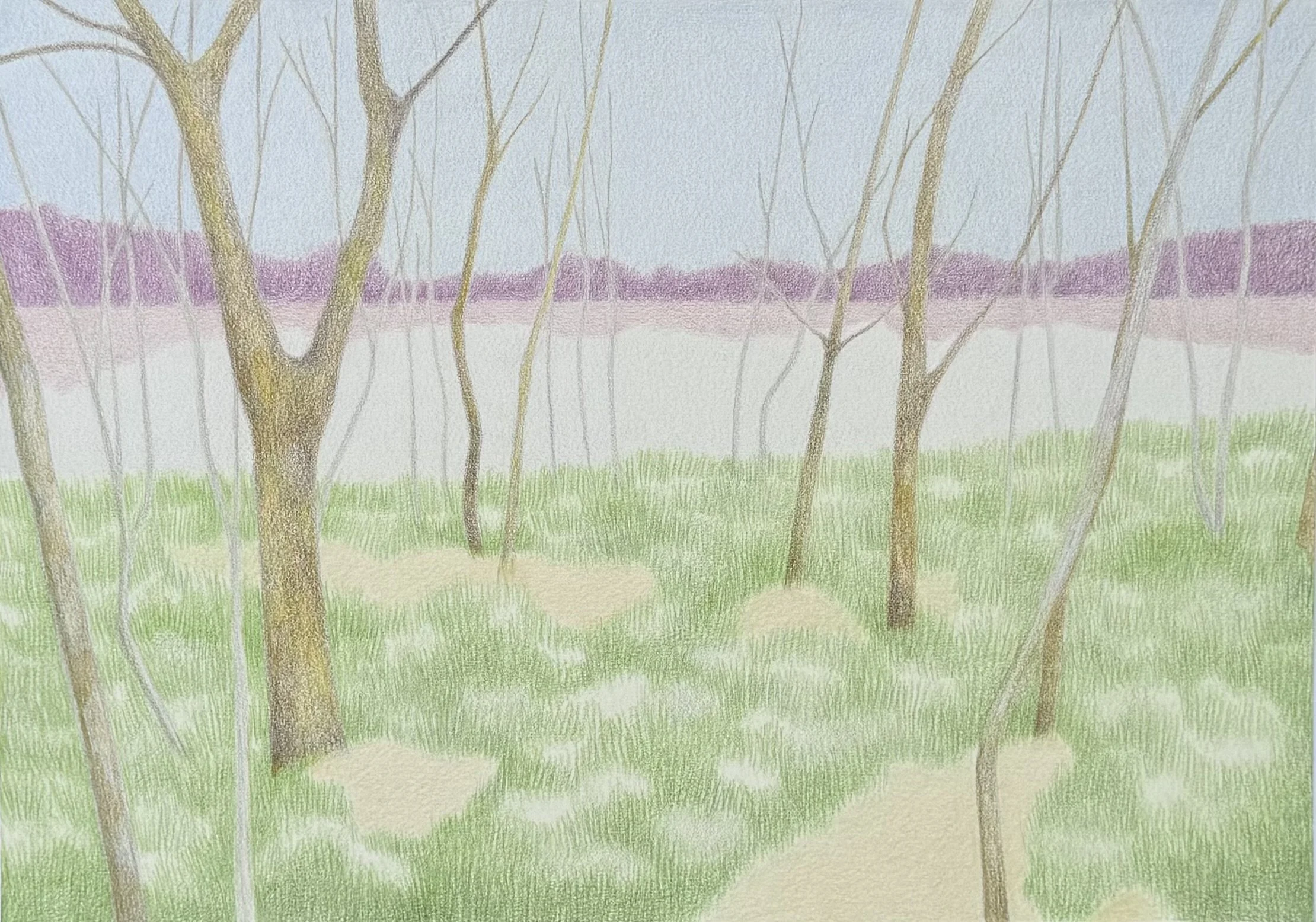 Spring Hopes