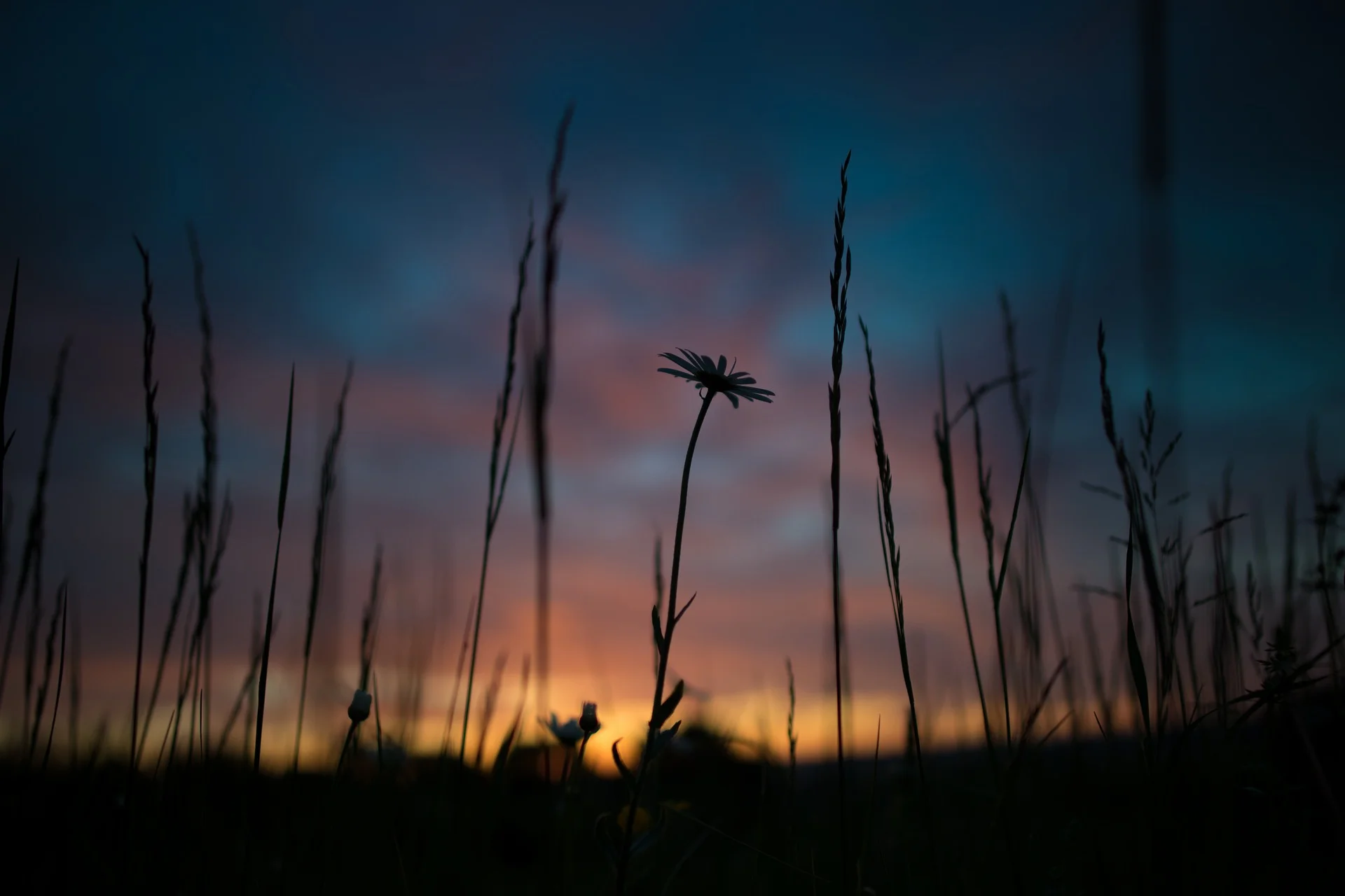 sunrise-1983740_1920.jpg