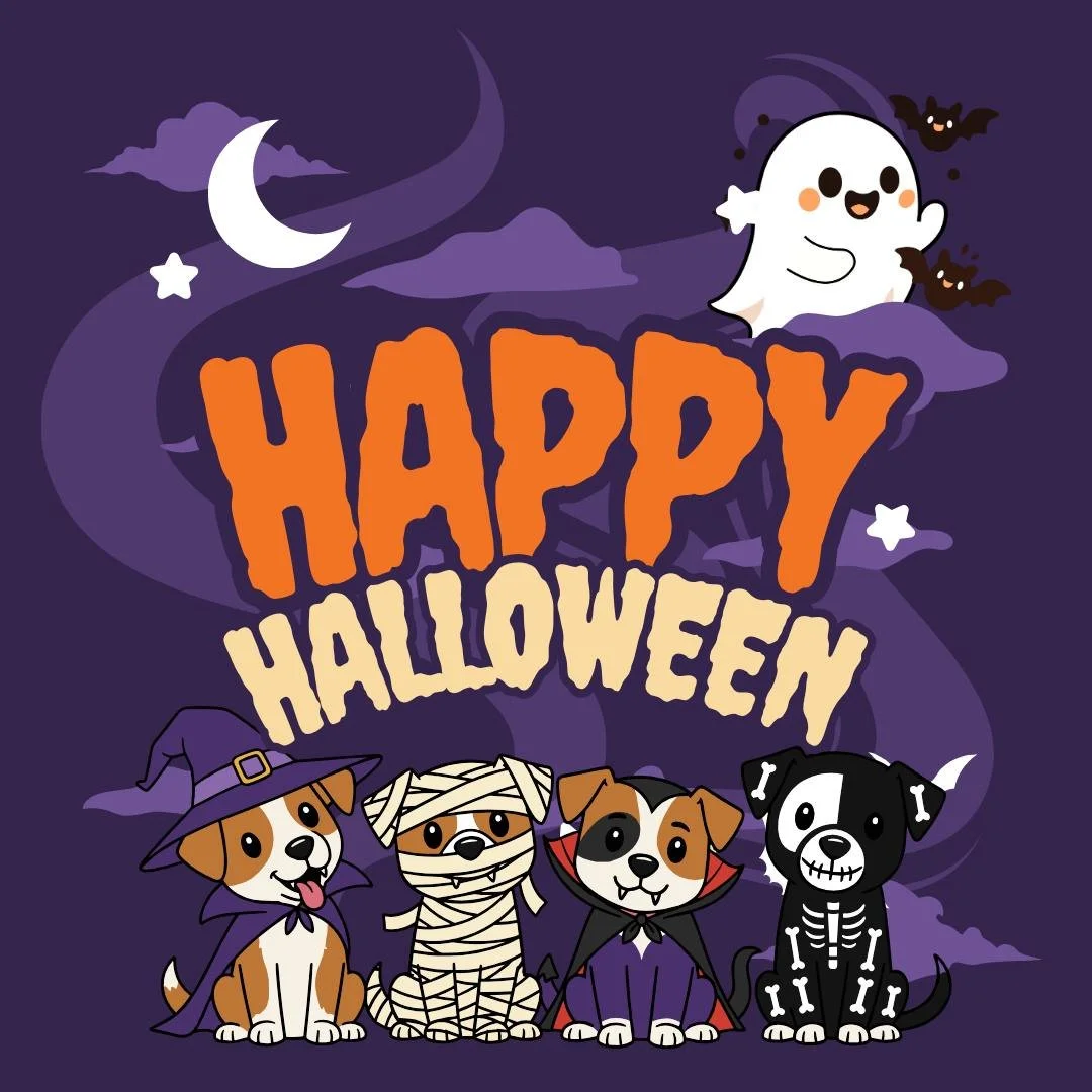 Enjoy today full of whimsy and candy!