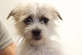 Our chosen 2015 Beneficiary