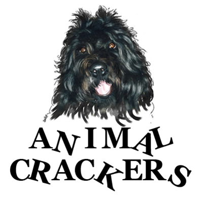 The Fluffball Foundation | Animal Crackers LA