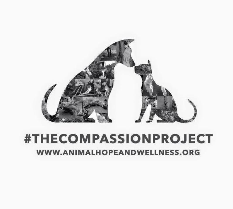 The Compassion Project.jpg