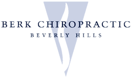 Berk Chiropractic.png