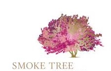 Smoke Tree.jpg