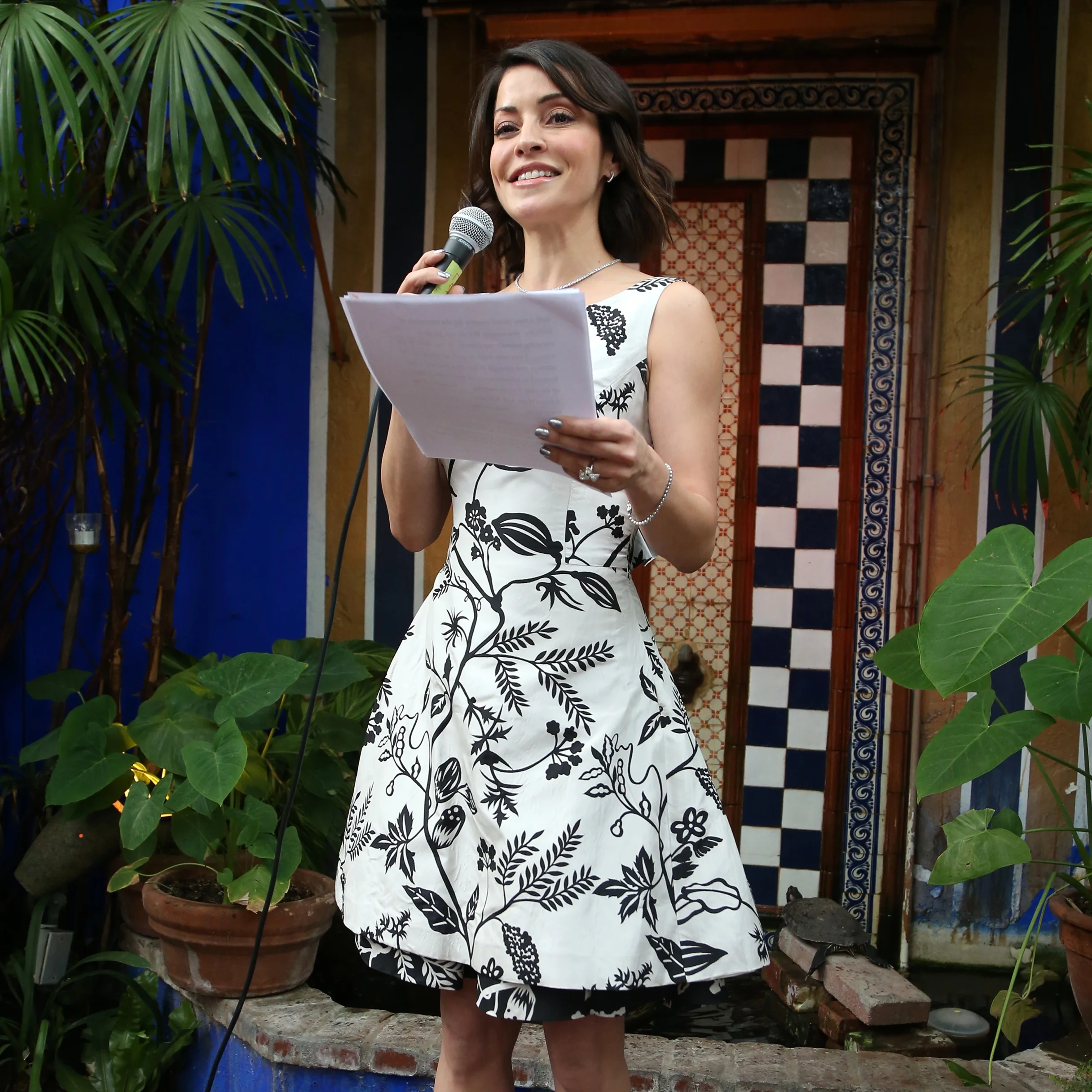 The History of the Fluffball