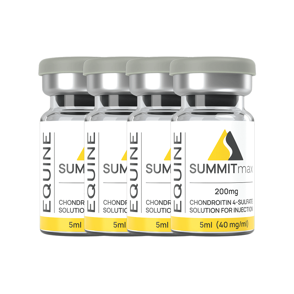 SummitMax Equine Starter Series — The Fluffball