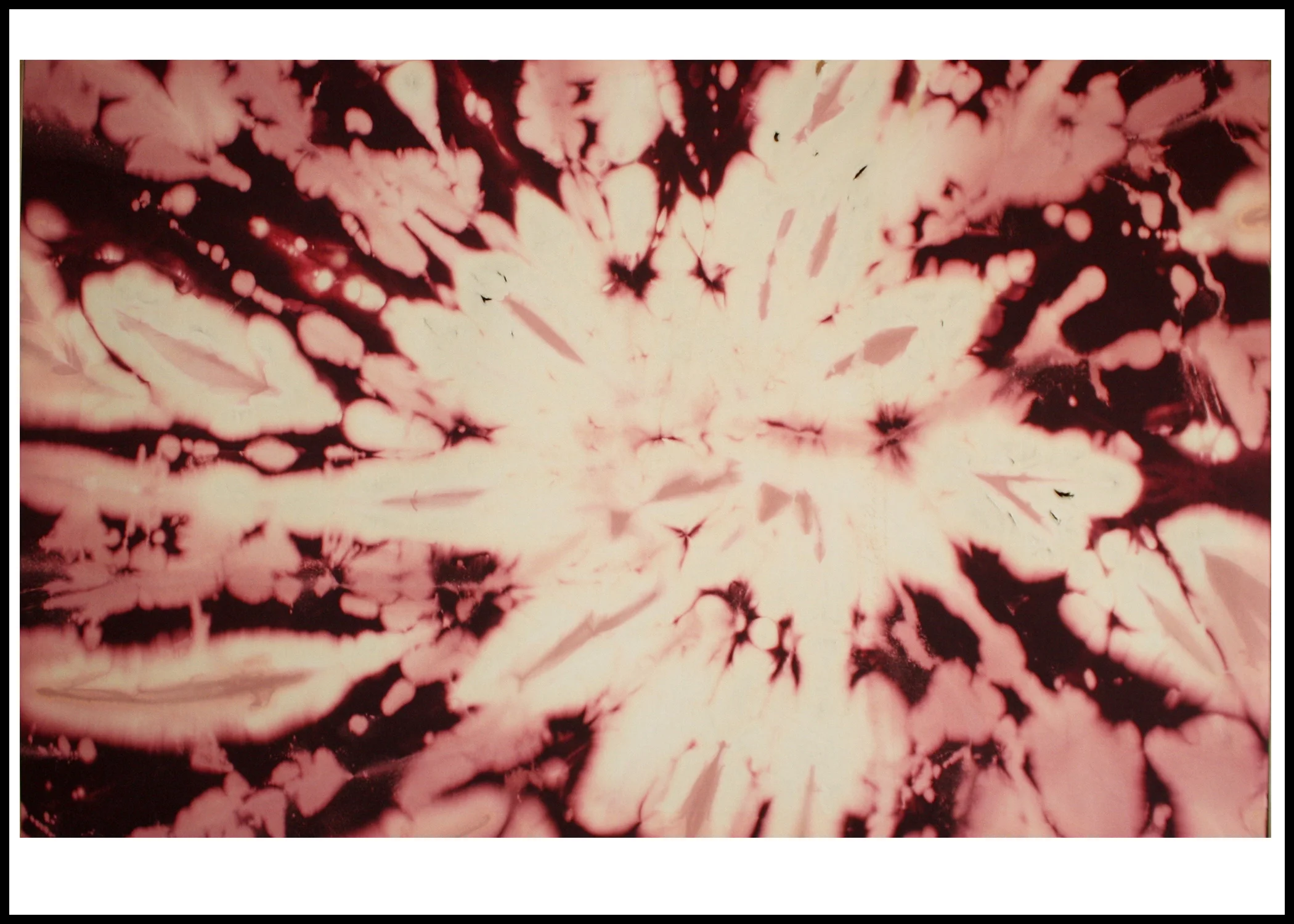 Cosmic Bloom1.jpg